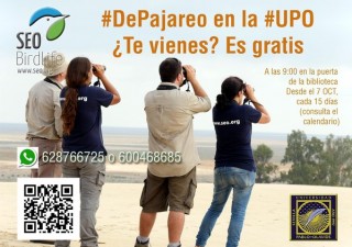 depajareo