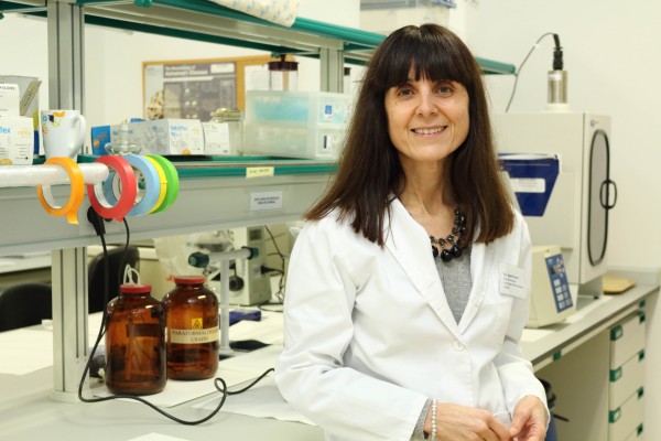 Agnès Gruart i Massó