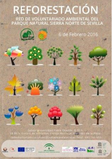 cartel reforestación