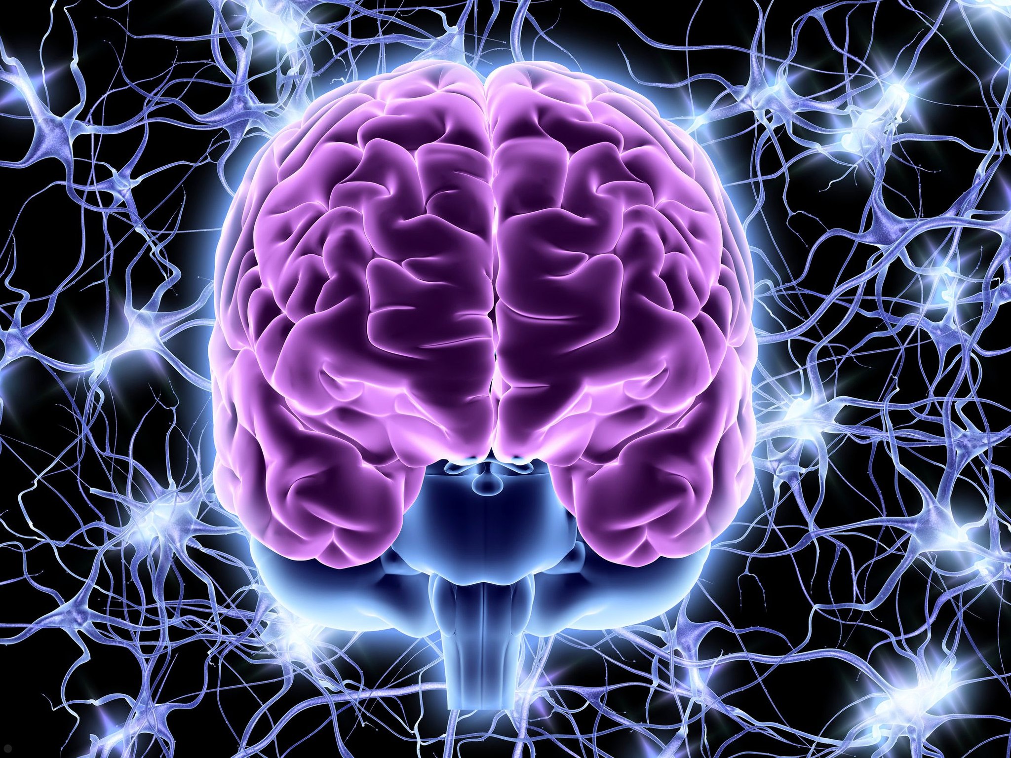 🧠 Enhorabuena al equipo de investigación del Laboratorio Traslacional de Estimulación Cerebral de la UPO, que ha llevado a cabo un estudio que podría marcar un antes y un después en la estimulación cerebral no invasiva. ¿El hallazgo? La orientación de las neuronas influye decisivamente en cómo responden al tratamiento con estimulación transcraneal por corriente continua (tDCS).👉 La tDCS es una técnica segura y de bajo coste que se utiliza cada vez más en investigaciones y ensayos clínicos para tratar enfermedades como el ictus, el Alzheimer o la epilepsia. Pero… ¿por qué no funciona igual en todas las personas?El equipo liderado por el investigador Javier Márquez Ruiz ha descubierto que las neuronas del cerebelo reaccionan de forma diferente a la estimulación eléctrica en función de su orientación respecto al campo eléctrico. Este hallazgo, logrado mediante tecnología de vanguardia, puede ayudar a diseñar terapias más precisas y eficaces, adaptadas a la estructura celular de cada paciente.🧪 Los resultados abren la puerta a una neuromodulación más inteligente y personalizada.📚 El estudio forma parte de las tesis doctorales de Carlos Andrés Sánchez León y Guillermo Sánchez-Garrido Campos, bajo la dirección del profesor Márquez-Ruiz.👏 ¡Felicidades a todo el equipo por este importante avance en el conocimiento del cerebro humano!🔗 Link a la noticia completa en la Bio.#UPOinvestiga #Cerebro #Neurociencia #tDCS #EstimulaciónCerebral