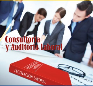 CONSULTORIA-Y-AUDITORIA