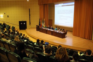 El Informe de Gestión ha sido aprobado por el Claustro.