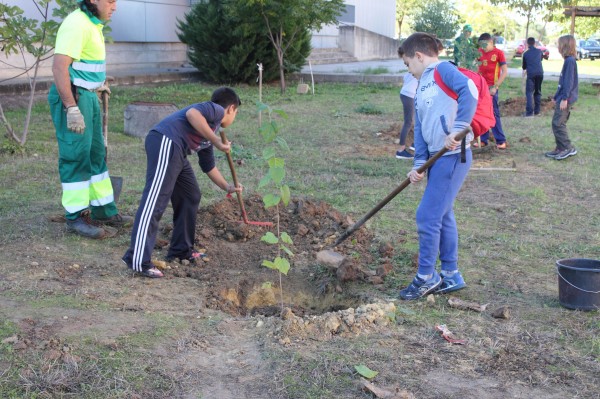 La Semana de la Ciencia ha comenzado hoy con el taller “Los árboles y el cambio climático”