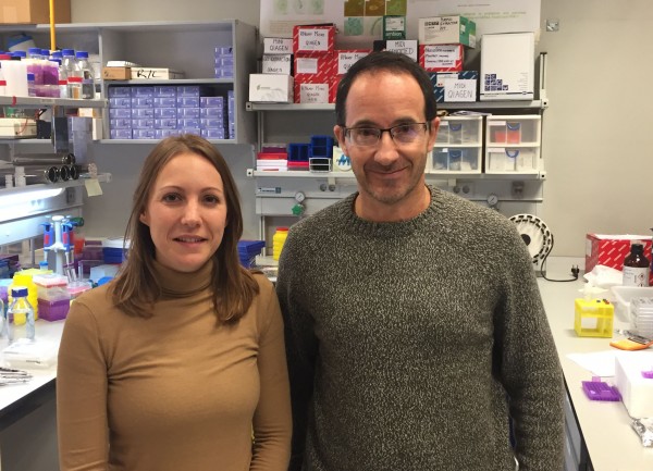 En la imagen, los investigadores Lourdes María Varela Pérez y Francisco Martín Bermudo.