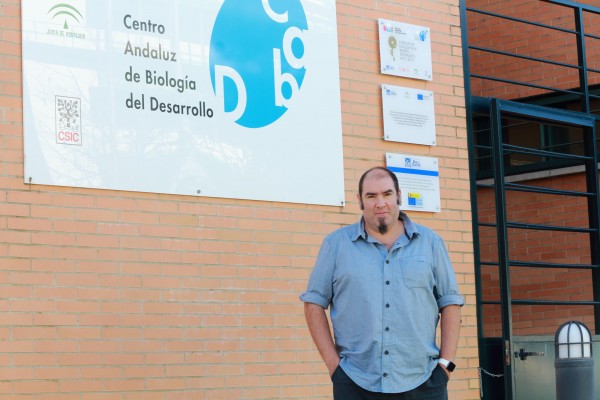 Gómez-Skarmeta ha formado parte del CABD desde sus orígenes