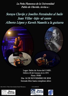 recitalflamenco