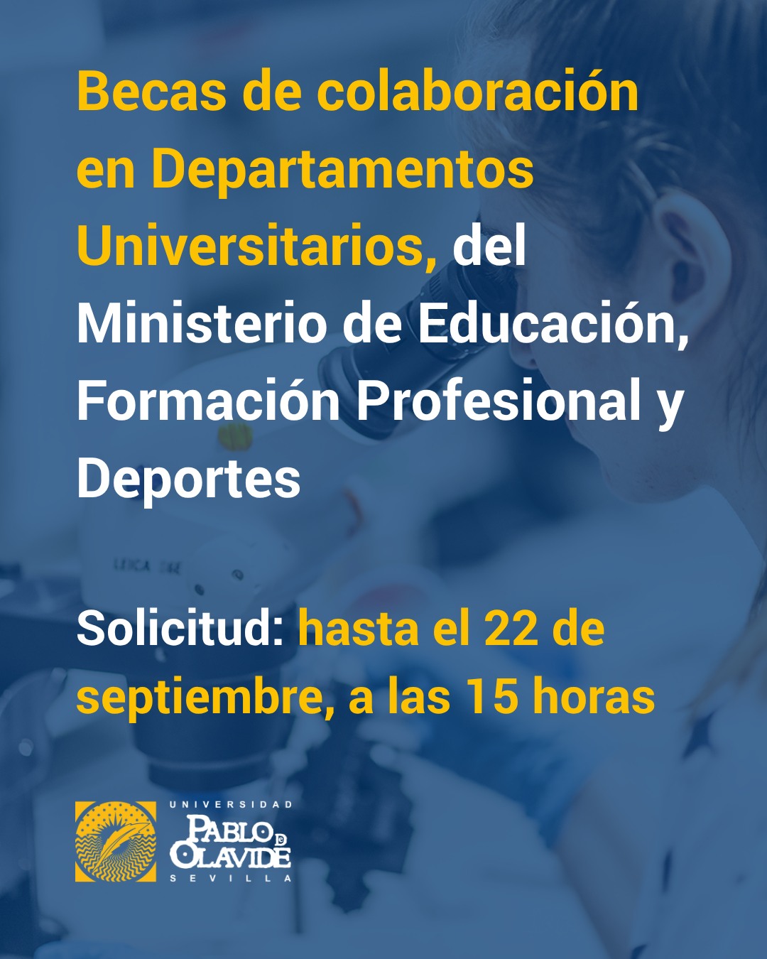 🔬 ¿Te gustaría iniciarte en tareas de investigación mientras completas tus estudios?

Ya está abierta la convocatoria de Becas de Colaboración en Departamentos Universitarios para el curso 2026/2027. Estas ayudas permiten colaborar en un departamento de la Universidad y participar en un proyecto relacionado con la titulación que estés cursando.

🎓 Puedes solicitarla si estás matriculado/a en el último curso de Grado o en el primer curso de un Máster Universitario oficial, siempre que cumplas los requisitos académicos establecidos.

💶 Dotación: 2.000 euros
⏱️ Colaboración: tres horas diarias durante siete meses y medio
📅 Plazo de solicitud: hasta el 22 de septiembre de 2026, a las 15:00 horas

La solicitud se presenta telemáticamente a través de la sede electrónica del Ministerio de Educación, Formación Profesional y Deportes.

🔗 Consulta los requisitos en el enlace de la Bio y en story destacada.

#LaOlavideEresTú #BecasUPO #BecasColaboración #UniversidadPabloDeOlavide