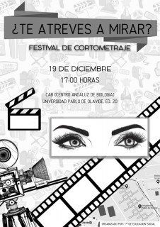 Festival_cortos
