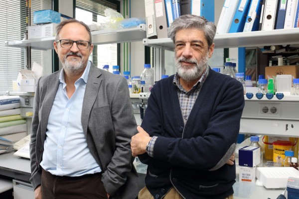 De izquierda a derecha, los catedráticos de Biología Celular de la UPO Guillermo López-Lluch y Plácido Navas.