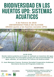 Cartel 5 febrero