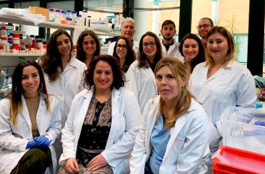 Grupo de investigación 'Desarrollo y Enfermedades Musculares (BIO 336)' en el CABD
