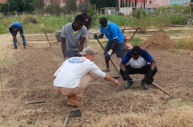 los jóvenes durante sus prácticas en el huerto ecológico