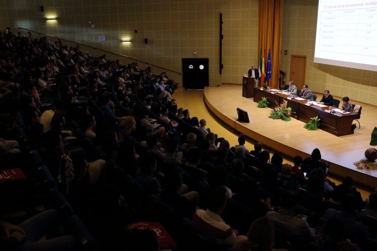 inauguración de los másteres universitarios de la UPO