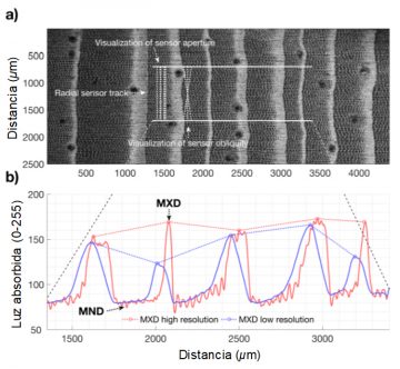 Concepto de microdensidad de la madera