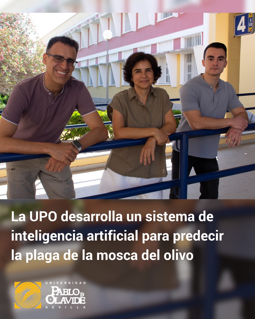 🌿La UPO desarrolla un sistema de inteligencia artificial para predecir la plaga de la mosca del olivo.En un contexto de cambio climático y aumento de plagas, la inteligencia artificial y el análisis de datos multimodales pueden ser herramientas claves para marcar la diferencia en el campo.📡 En la UPO, el grupo Data Science & Big Data Lab ha desarrollado un modelo predictivo capaz de anticipar con una semana de antelación los picos de población de la mosca del olivo, una de las plagas más dañinas para este cultivo.🛰️ ¿Cómo lo hacen? Combinan imágenes de satélite Sentinel-2 con datos meteorológicos como temperatura, humedad o precipitaciones. ✅ Menos productos químicos✅ Agricultura más eficiente✅ Cultivos más sostenibles📌 El avance, publicado en la prestigiosa revista Information Fusion, es fruto de la investigación de Alicia Troncoso, Gualberto Asencio y el doctorando Andrés Chacón.🔗 Descubre más sobre esta investigación en el link de la Bio.#UPOInvestiga #IA #AgriculturaSostenible #CienciaUPO #MoscaDelOlivo #BigData