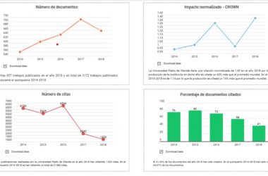 gráficos con datos y métricas del portal