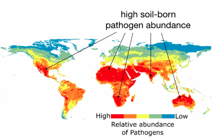 Imagen https://www.upo.es/diario/wp-content/uploads/2020/05/pathogens-abundance-in-the-future-atlas-portada.png