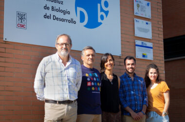 Guillermo López-Lluch, Carlos Santos, María Victoria Cascajo, Juan Diego Hernández y Ana Sánchez Cuesta en el CABD