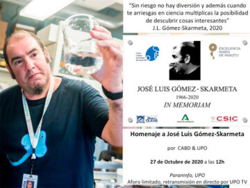 Homenaje a José Luís Gómez-Skarmeta @ Universidad Pablo de Olavide - Paraninfo