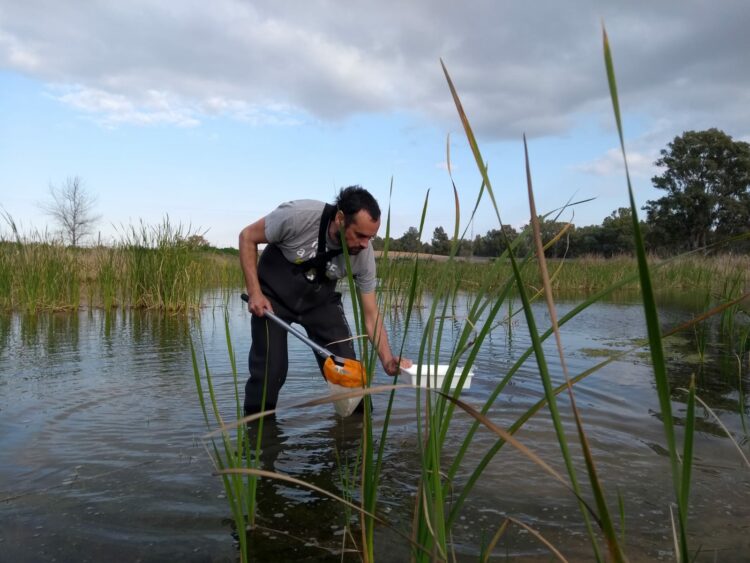 Juan Matutano en la laguna de la Biblioteca