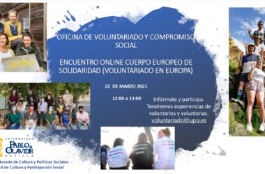 encuentro online sobre voluntariado en Europa