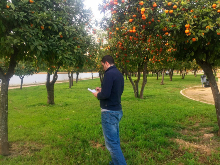 Manuel Delgado-Baquerizo muestreando en el Parque V Centenario, Utrera (Sevilla)