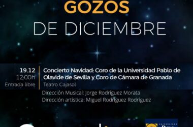 Concierto de Navidad: 19/12/2021-12 horas