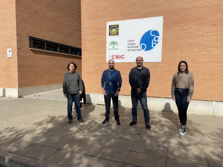 De izquierda a derecha:, los investigadores Ana Fernández Miñán, Jorge Corbacho, J. R Martínez Morales y Estefanía Sanabria.