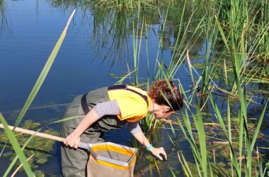 II Bioblitz, lagunas del campus