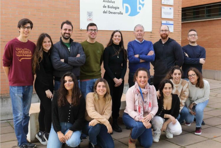 El equipo de Sánchez Alcázar en el CABD