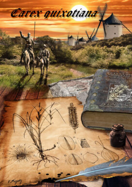 ilustración con Don Quijote y Sancho Panza junto a la planta descubierta