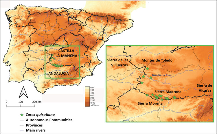 Distribución de la nueva planta, Carex quixotiana