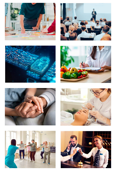 Imágenes que representas varias profesiones (docencia, cuidados, tecnología, hostelería, nutrición, etc)