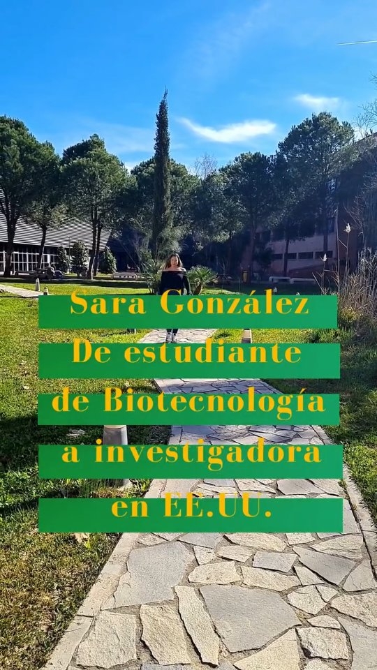 De la UPO a investigar en EE.UU. 🇺🇸🔬

Sara González estudió Biotecnología en la Universidad Pablo de Olavide y hoy investiga en los National Institutes of Health, uno de los centros científicos más importantes del mundo.

Su camino comenzó con una vocación clara por la biología y creció en la UPO, donde dio sus primeros pasos en investigación en el  @cabdivulgacion. Hoy trabaja para entender cómo funciona la barrera del cerebro y cómo repararla en situaciones de enfermedad, como es el caso del glioblastoma.

Un recorrido que demuestra hasta dónde puede llegar la curiosidad cuando se convierte en pasión.

Es algo que no nos cansamos de repetir. Cuando hay talento y formación, no hay límites. Y en la UPO, ambos van de la mano.

#LaOlavideEresTú #TalentoUPO #AlumniUPO #Biotecnología #MujeresEnCiencia