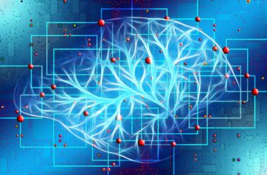 Simulación de circuitos cerebrales