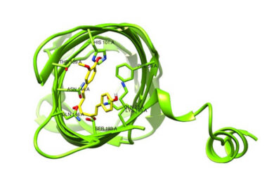 Conformación de unión de la demetoxicurcumina en complejo con la región periplásmica de la proteína de membrana externa W (OmpW) de Acinetobacter baumannii.
