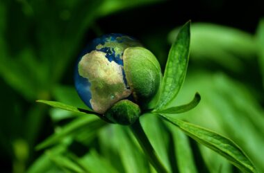 Ilustración simbólica que muestra el planeta tierra como parte de vegetación