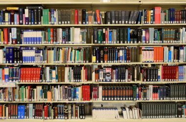 Fotografía de una estantería llena de libros