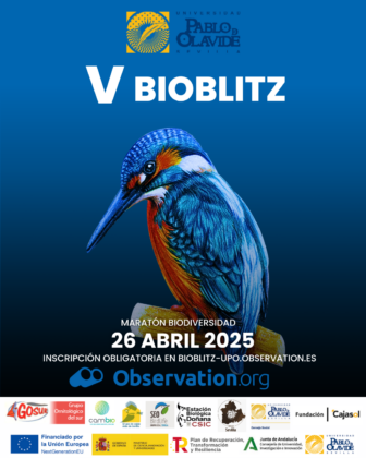 V Bioblitz en el campus UPO