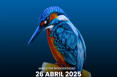 V Bioblitz en el campus UPO