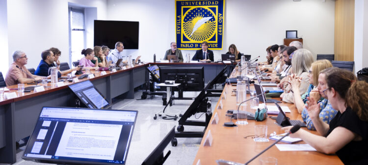 Sesión del Consejo de Gobierno de la Universidad del pasado viernes 30 de mayo