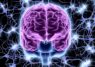 Demuestran cómo la orientación de las neuronas modula los efectos de la estimulación eléctrica