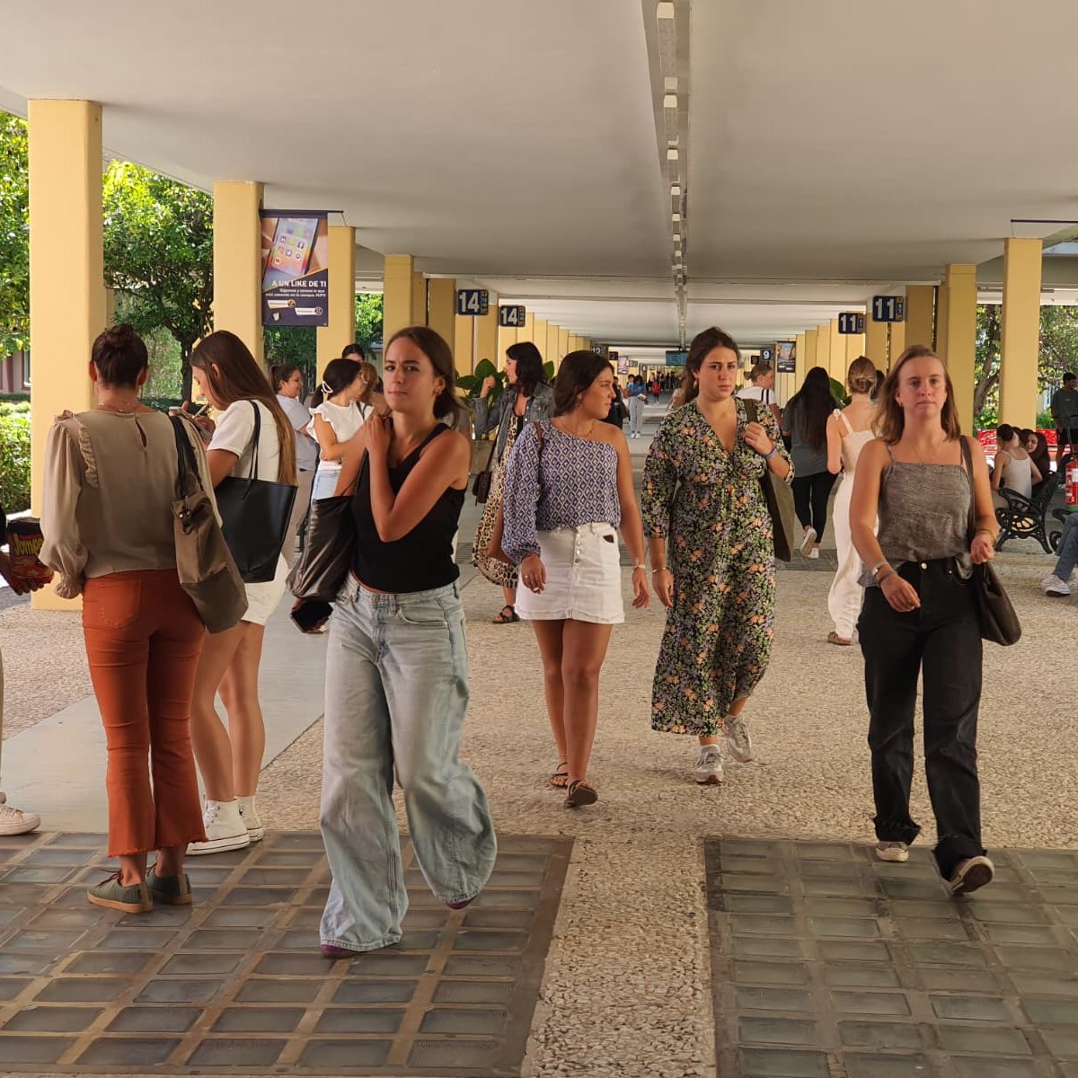 📚 Nuevo curso, nuevas metas
Septiembre ya está aquí y con él empieza una nueva etapa en la UPO.
¿Preparado/a para darlo todo este año? ¿comienzas tu etapa universitaria?
¡Recuerda! Las clases arrancan el lunes 15 de septiembre y las Jornadas de Bienvenida a estudiantes de nuevo ingreso se celebrarán los días 10 y 11 de septiembre.
En la Bio encontrarás el enlace al calendario académico para estudiantes que cursan estudios de Grado y doble Grado y toda la información sobre las Jornadas de Bienvenida.
¡Os esperamos!
#LaOlavideEresTú #calendario #curso20252026 #UniversidadPablodeOlavide #Bienvenida