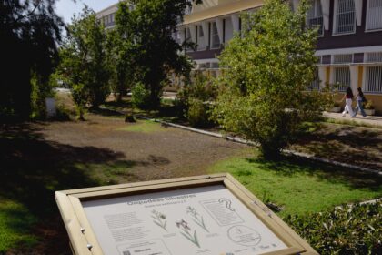 Paneles divulgativos de botánica situados en las zonas verdes del campus