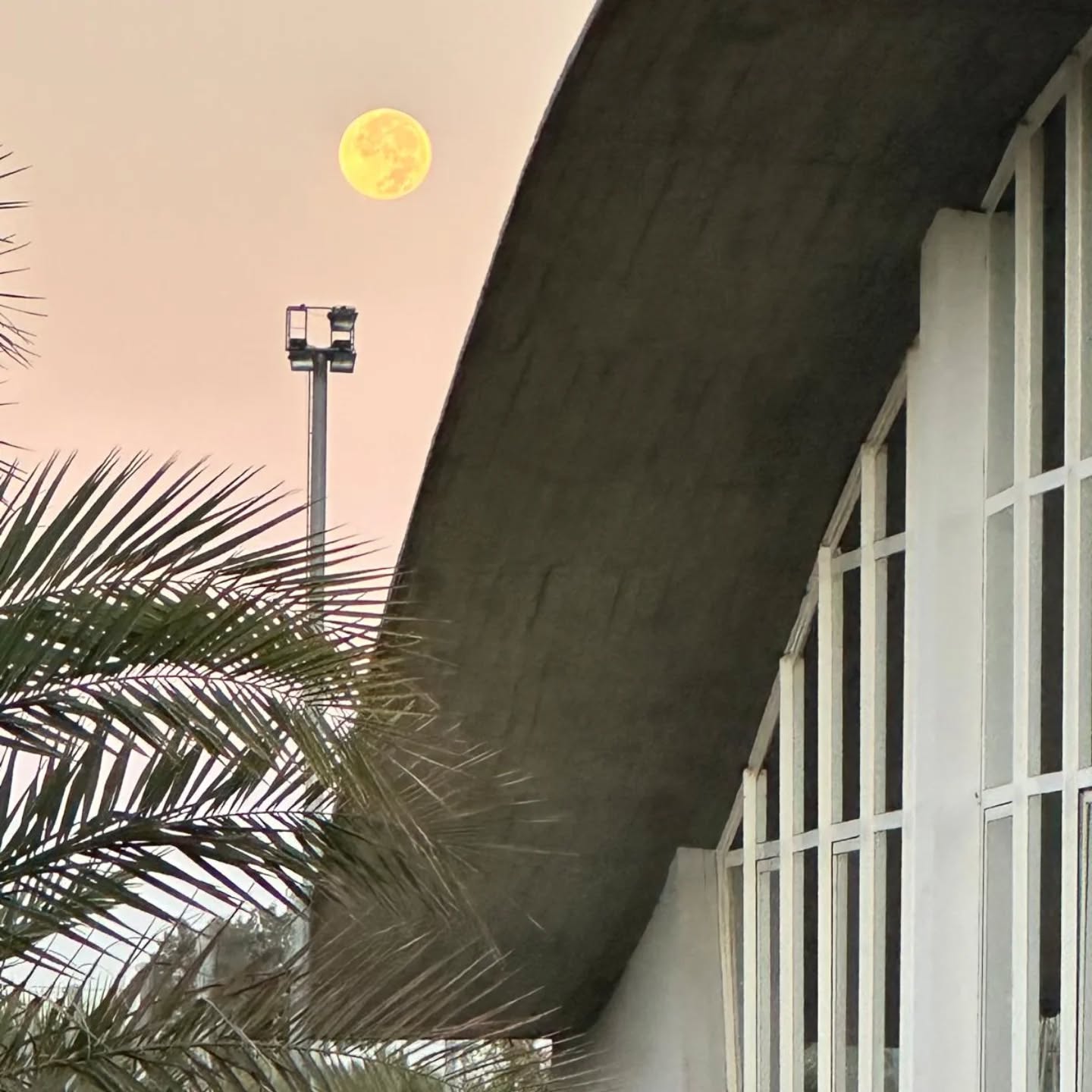 Un instante mágico en la Universidad Pablo de Olavide: luna llena sobre nuestro campus 🌙💙Foto @africacalvolluch #LaOlavideEresTú #campusUPO