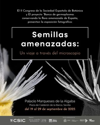 En el Palacio de los Marqueses de la Algaba puede visitarse ‘Semillas amenazadas: un viaje a través del microscopio’