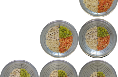 Platos con distinta cantidad de alimentos según su diámetro