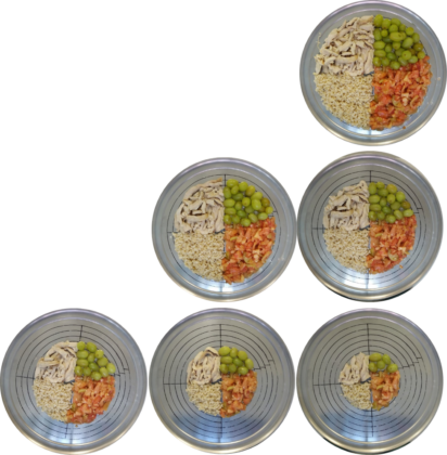 Platos con distinta cantidad de alimentos según su diámetro