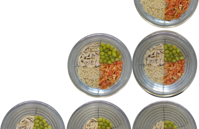 Platos con distinta cantidad de alimentos según su diámetro