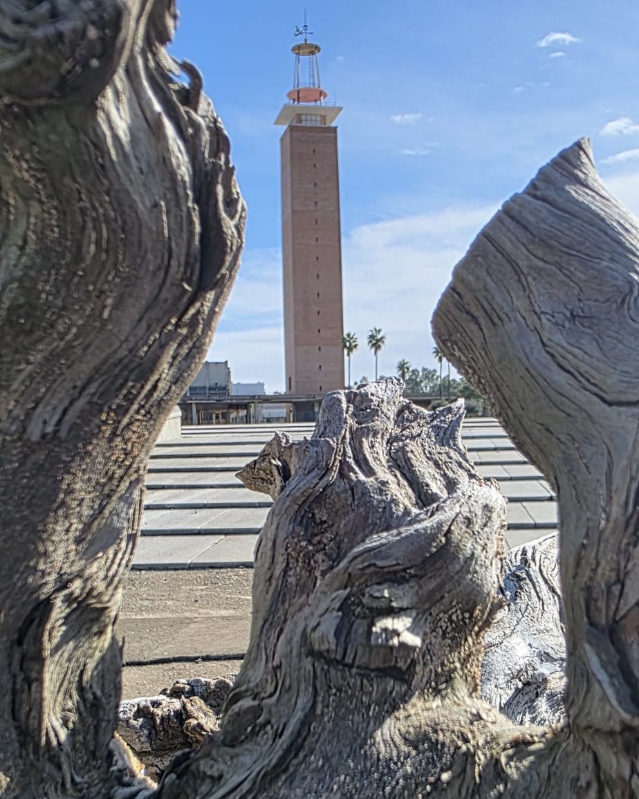 Cuando febrero llega y el campus te saluda a su manera 🌳 👋 Foto de nuestro compañero Maxi 🙏#BienvenidoFebrero #campusUPO